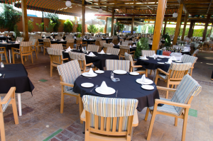 terraza restaurante el guerra granada 1