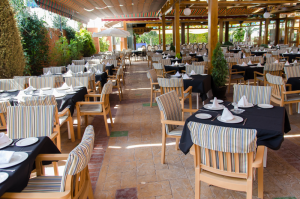 terraza restaurante el guerra granada 4